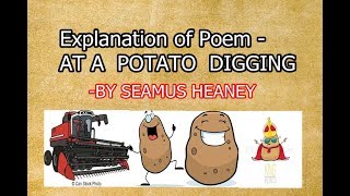 At a Potato Digging by Seamus Heaney Explanation and detailed summary  English Elective class 12 [upl. by Ozne]