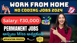 ఇంటినుండి పని చేయండి Work From Home Jobs 2024 No Coding Required Rs30000 Salary  Best WFH jobs [upl. by Conchita5]