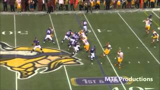 Ultimate Cordarrelle Patterson Highlights  HD [upl. by Odella42]