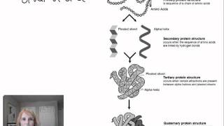 Protein Structure and Function  Part 1 [upl. by Iorio398]