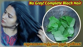 ONE HERB NO GREY COMPLETELY BLACK HAIR Reverse premature greyingBlack Hair Routine [upl. by Doble356]