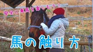 馬の触り方～安全に乗馬を楽しもう！～ [upl. by Bevan]