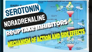 Serotonin Noradrenaline Reuptake Inhibitors  SNRIs  Mechanism of Action and Side effects [upl. by Sherrer]