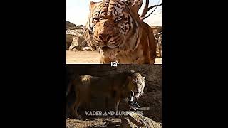 Shere Khan2016 vs Scar2019 [upl. by Alah]