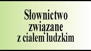 Angielski od zera  słownictwo związane z ciałem ludzkim [upl. by Anialahs]