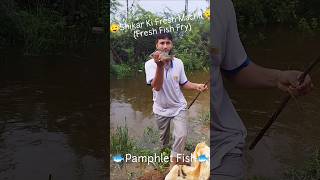 Pamphlet Fresh Fish Fry fishfryrecipe recipesshorts ytshorts [upl. by Thunell]