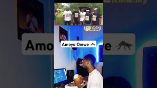 Amoyo Omwe 🦟 amoyomwe amoyoomwe mosquito shortsvideo shorts shortvideo viralsong viralshorts [upl. by Aigneis]