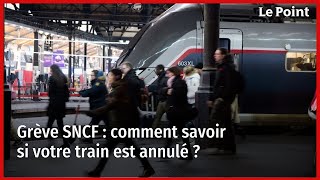 Grève SNCF  comment savoir si votre train est annulé [upl. by Tiana]