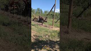 Abonando 🍎🍐🌞fruticultura chichinales rionegro patagonia argentina [upl. by Valleau]