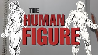 How to Draw the HUMAN FIGURE  Bridgmans Anatomy Drawing for All [upl. by Noirad765]