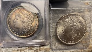 PCGS Graded 1887 Morgan silver dollar amp RAW 1921 Morgan coin numismaticcollection silver [upl. by Tryck302]