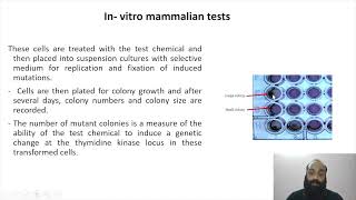 Genotoxicity and mutagenicity testing II Part 7 [upl. by Wivina]