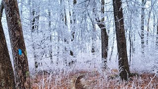 Hiking to Coosa Bald via the Duncan Ridge Trail from Wolf Pen Gap [upl. by Emelita1]