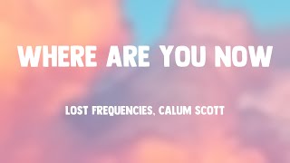 Where Are You Now  Lost Frequencies Calum Scott Letra 🎶 [upl. by Schaefer]