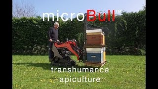 microBull™  Transhumance Apiculture [upl. by Sikram]