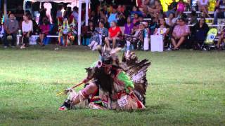 Oklahoma Indian Nations Powwow 2014 [upl. by Cormier]