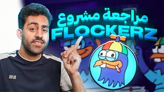 Flockerz Review  مراجعة مشروع فلوكرز ميم كوين للعملات الرقمية [upl. by Arraek]