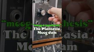 “MoogOSynthesis” The Plantasia Moog Jam ​⁠AlexBallMusic OUT NOW on Alex’s YouTube Channel [upl. by Naivart193]