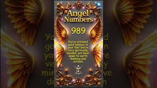 Angel Number 989 Meaning Balance Your Spirituality and Practicality for Success [upl. by Onida]