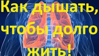 Как дышать чтобы долго жить или дыхание может убить [upl. by Timi]