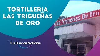 La historia de la tortillería Las Trigueñas de Oro [upl. by Shoshana828]