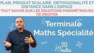 Tout savoir sur les équations paramétriques de droites  Terminale Maths Spécialité [upl. by Dugan426]