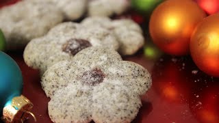 Mohnkringel  Mohnplätzchen  Leckere Weihnachtsplätzchen mit der Gebäckspritze  Sallys Welt [upl. by Pearce]