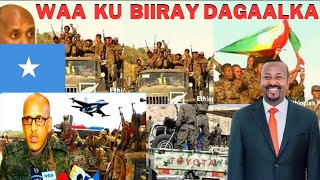 DEGDEG DAGAAL CULUS MUSTAF CAGJAR amp ABIY AHMED KA DHAX QARXAY CAGJAR SOMALI LA SAFTAY GUUSHA SOMALIA [upl. by Lrad]