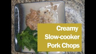 Creamy slowcooker pork chop recipe [upl. by Ateikan]