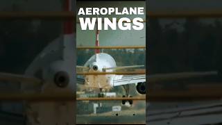 How Airplane Wing Flaps Work in 60 Seconds trending video facts today airplane wings shorts [upl. by Haida]