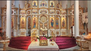 Divine Liturgy of the 19th Sunday after Pentecost on Sunday November 3 2024 [upl. by Ettigdirb938]