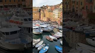 People go to Cinque Terre and skip places like this… 🥺 Golden days for travel to Italy 💛 camogli [upl. by Mitchael]