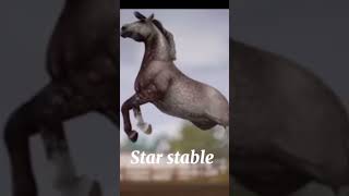 Star stable vs Real life horse starstable sso starstableonline reallife [upl. by Rickey]