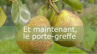 Comment greffer un arbre fruitier [upl. by Pasadis]