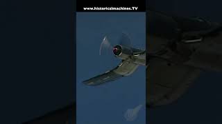 F4U Corsair  Low and Loud WW2 Fighter [upl. by Ycam]