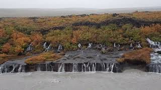 IJsland  Hraunfossar watervallen [upl. by Glendon149]