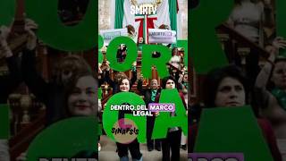 SINAPSIS cdmx abortolibre elonmusk mexico noticias [upl. by Arayt]