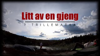 Litt av en gjeng i Trillemarka [upl. by Genet]