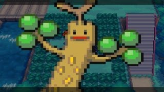 How amp Where to catchget  Sudowoodo Swarm in Pokemon Black 2 [upl. by Euqinomod]