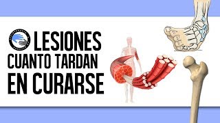 ¿Cuanto tiempo tarda en curarse una lesion [upl. by Iva460]