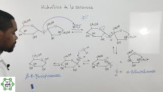 Hidrólisis de la Sacarosa en Medio Ácido  Mecanismo de Reacción [upl. by Eylhsa559]