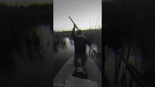 fishing bigcarp carpfishinglife carp carpfishing рыбалка carps carplife [upl. by Noremak442]