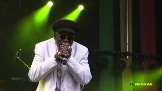 JOHNNY OSBOURNE quotTruths And Rightsquot Reggae Geel Belgium 2012 [upl. by Eenwat]