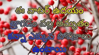 barlee helth benifitbarlee uses Telugu [upl. by Blim]