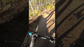 Evo bike park mtb downhill trekslash mountainbike gopro mtblife [upl. by Cohl]