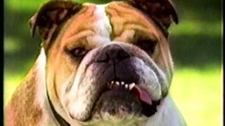 PetSmart  quotThe PetSmart Pricequot Commercial  1995 [upl. by Alled372]