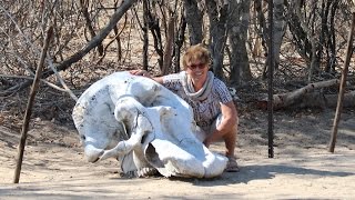 NAMIBIA Crossing the Caprivi Strip [upl. by Rayham]