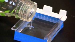 Casting an Agarose Gel [upl. by Olifoet]