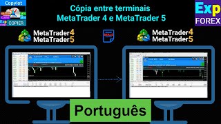 Português COPYLOT Copiadora para MetaTrader 45 [upl. by Bonnie]