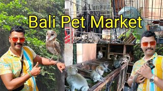 Bali Pet Market in tamil [upl. by Nauqaj932]